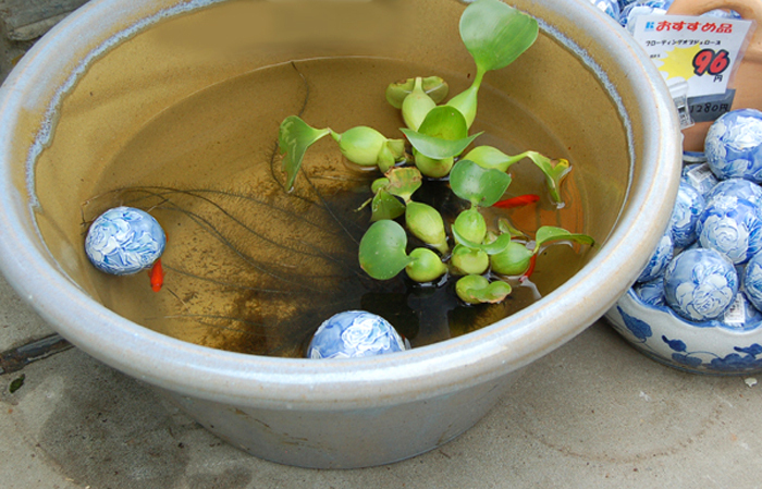 カルナドラッグのブログ-水蓮鉢と浮球